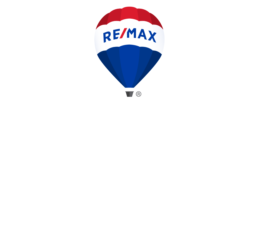 Logo Remax Collection